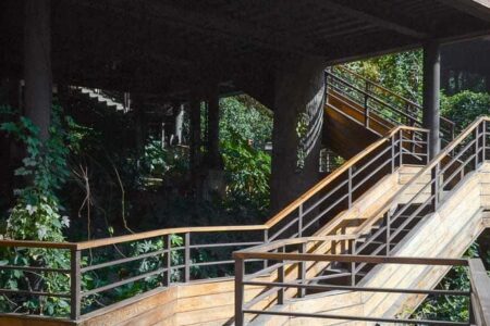 Cabañas en los árboles. Resort. Arquitectura y naturaleza | shembo_resort roomdiseno9
