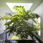 Sky House. oasis verde. Saigón | sky_house roomdiseno17