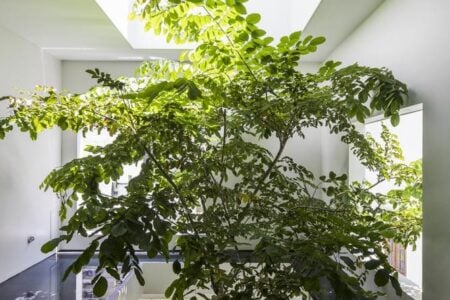 Sky House. oasis verde. Saigón | sky_house roomdiseno17