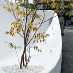 Sou Fujimoto. baño público. The Tokyo Toilet | sou fujimoto9
