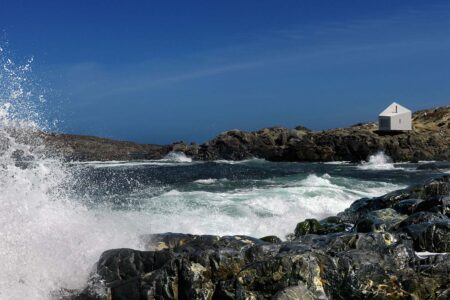 Squish Studio. Fogo Island. Foto: Todd Saunders | squish_studio todd_saunders roomdiseno1