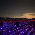 Agricultura sostenible. Studio Roosegaarde. Daan Roosegaarde | studio roosegaarde roomdiseno12