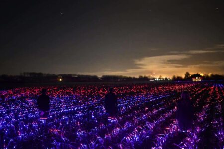 Agricultura sostenible. Studio Roosegaarde. Daan Roosegaarde | studio roosegaarde roomdiseno12