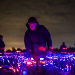 Agricultura sostenible. Studio Roosegaarde. Daan Roosegaarde | studio roosegaarde roomdiseno13