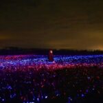 Agricultura sostenible. Studio Roosegaarde. Daan Roosegaarde | studio roosegaarde roomdiseno14