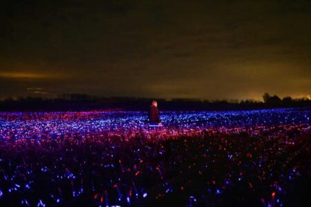 Agricultura sostenible. Studio Roosegaarde. Daan Roosegaarde | studio roosegaarde roomdiseno14