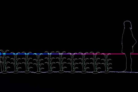 Agricultura sostenible. Studio Roosegaarde. Daan Roosegaarde | studio roosegaarde roomdiseno15