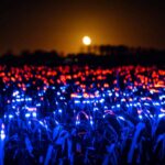 Agricultura sostenible. Studio Roosegaarde. Daan Roosegaarde | studio roosegaarde roomdiseno3