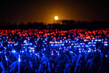 Agricultura sostenible. Studio Roosegaarde. Daan Roosegaarde | studio roosegaarde roomdiseno3