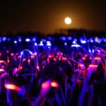 Agricultura sostenible. Studio Roosegaarde. Daan Roosegaarde | studio roosegaarde roomdiseno4