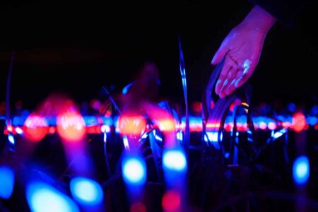Agricultura sostenible. Studio Roosegaarde. Daan Roosegaarde | studio roosegaarde roomdiseno5