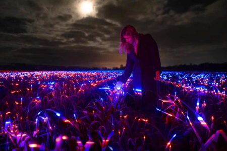 Agricultura sostenible. Studio Roosegaarde. Daan Roosegaarde | studio roosegaarde roomdiseno6