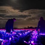Agricultura sostenible. Studio Roosegaarde. Daan Roosegaarde | studio roosegaarde roomdiseno7