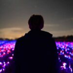 Agricultura sostenible. Studio Roosegaarde. Daan Roosegaarde | studio roosegaarde roomdiseno8
