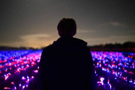 Agricultura sostenible. Studio Roosegaarde. Daan Roosegaarde | studio roosegaarde roomdiseno8