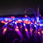Agricultura sostenible. Studio Roosegaarde. Daan Roosegaarde | studio roosegaarde roomdiseno9