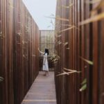experiencia inmersiva. tienda terrario. None Space | sumsei terrarium roomdiseno1