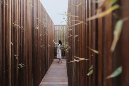 experiencia inmersiva. tienda terrario. None Space | sumsei terrarium roomdiseno1