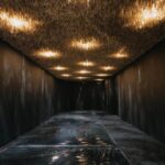 experiencia inmersiva. tienda terrario. None Space | sumsei terrarium roomdiseno10
