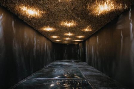 experiencia inmersiva. tienda terrario. None Space | sumsei terrarium roomdiseno10