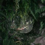 experiencia inmersiva. tienda terrario. None Space | sumsei terrarium roomdiseno11