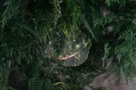 experiencia inmersiva. tienda terrario. None Space | sumsei terrarium roomdiseno11