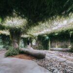 experiencia inmersiva. tienda terrario. None Space | sumsei terrarium roomdiseno14