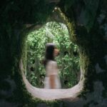 experiencia inmersiva. tienda terrario. None Space | sumsei terrarium roomdiseno2