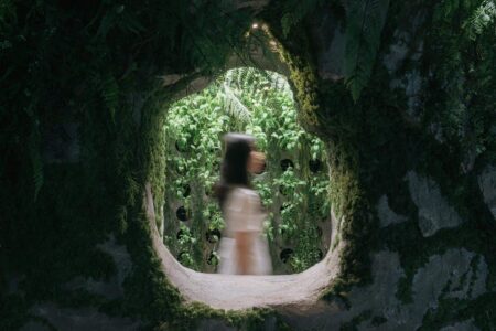 experiencia inmersiva. tienda terrario. None Space | sumsei terrarium roomdiseno2