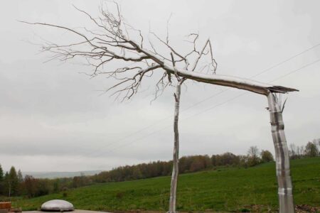 Symbiosis. Roxy Paine. Paisajes artificiales. Land Art | symbiosis