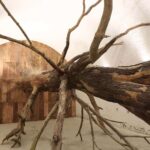 Sysiphus Casamate. Henrique Oliveira. 2019. -Jardins des Plantes. Le Havre. Francia. Arte y naturaleza | sysiphus casamate 2019 jardins des plantes le havre fr plywood tree branches and other materials 6x6x20m no photo credit