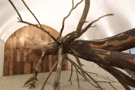 Sysiphus Casamate. Henrique Oliveira. 2019. -Jardins des Plantes. Le Havre. Francia. Arte y naturaleza | sysiphus casamate 2019 jardins des plantes le havre fr plywood tree branches and other materials 6x6x20m no photo credit