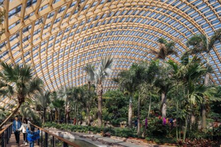 Diseño paramétrico. Delugan Meissl Associated Architects. Diseño de invernadero. jardín botánico | taiyuan botanical garden8