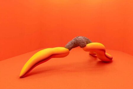 Vida en la superficie. Teresa Solar Abboud. Foto: © Bruno Lopes, cortesía Kunsthalle Lissabon