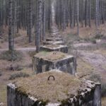 Fotografía de arquitectura. The last stand. Marc Wilson | the last stand roomdiseno6