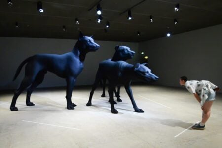 Hiperrealismo, Fundación Cartier, Ron Mueck | three dogs ron mueck 4