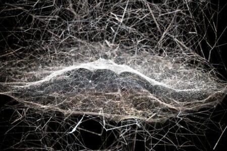 Tomás Saraceno. cambio climático | tomas saraceno roomdiseno3