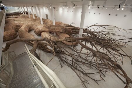 Transarquitetonica. Henrique Oliveira. 2014. Museu de Arte Contemporanea USP, Sao Paulo, Brazil. Arte y naturaleza | transarquitetonica 2014 museu de arte contemporanea usp sao paulo brazil 5 x 18 x 73 m photo everton 2