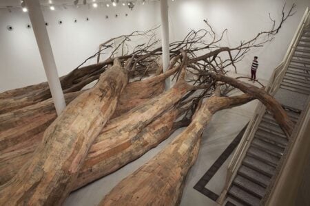 Transarquitetonica. Henrique Oliveira. 2014. Museu de Arte Contemporanea USP, Sao Paulo, Brazil. Arte y naturaleza | transarquitetonica 2014 museu de arte contemporanea usp sao paulo brazil 5 x 18 x 73 m photo everton 3