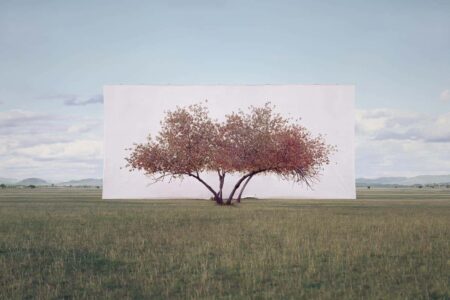 Tree...#2. Myoung Ho Lee. Yossi Milo Gallery. 2014. Arte y naturaleza | lmh0501 034