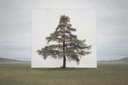 Tree...#6. Myoung Ho Lee. Yossi Milo Gallery. 2014. Arte y naturaleza | 20130717 006