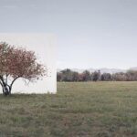 Tree...#7. Myoung Ho Lee. Yossi Milo Gallery. 2014. Arte y naturaleza | 0305 008