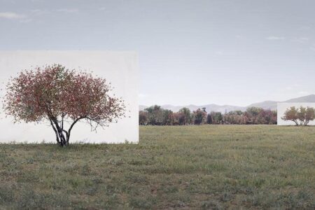 Tree...#7. Myoung Ho Lee. Yossi Milo Gallery. 2014. Arte y naturaleza | 0305 008