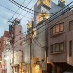 ree-ness House. Akihisa Hirata. Arquitectura japonesa contemporánea | tree_ness_house akihisa_hirata roomdiseno3