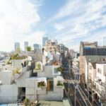ree-ness House. Akihisa Hirata. Arquitectura japonesa contemporánea | tree_ness_house akihisa_hirata roomdiseno4