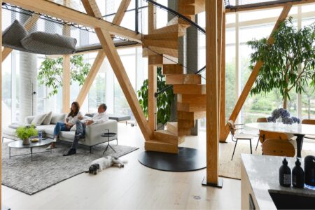 Urban Tree House
