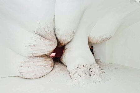 Ursulines Prolapse (inside view). Henrique Oliveira. 2012. Center-Linz. Austria. Arte y naturaleza | ursulines prolapse inside view 2012 ok center linz austria plywood pvc foam and pigments 3 75x9 07x15 27m photo otto saxinger