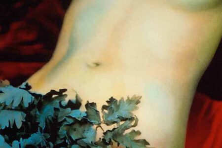 Ouka Leele. artista multidisciplinar | venus 1998