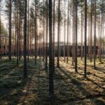 BIG. Bjarke Ingels. fábrica ecológica | vestre4