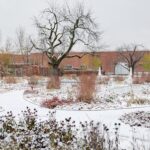 Vitra. Piet Outdolf. Paisaje con naturaleza | vitra architecture park12
